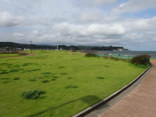 芝生広場や遊歩道があって、たくさんの人が遊べます。