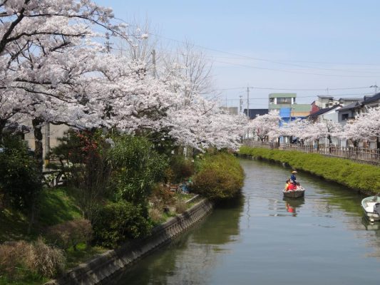 春にはたくさんの桜がきれいに咲きます。冬にはイルミネーションがきれいに彩ります。