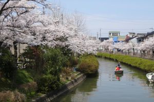 春にはたくさんの桜がきれいに咲きます。冬にはイルミネーションがきれいに彩ります。