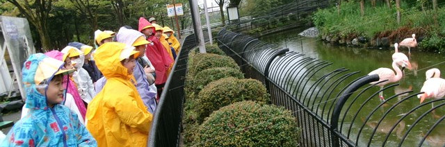 氷見市立比美乃江小学校