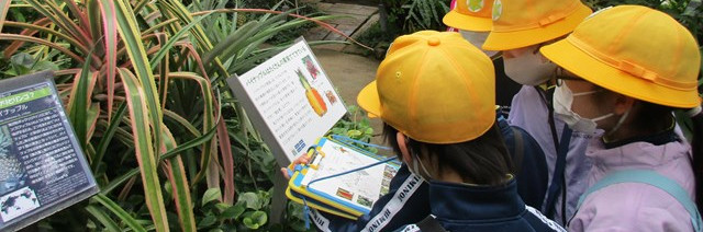 氷見市立比美乃江小学校