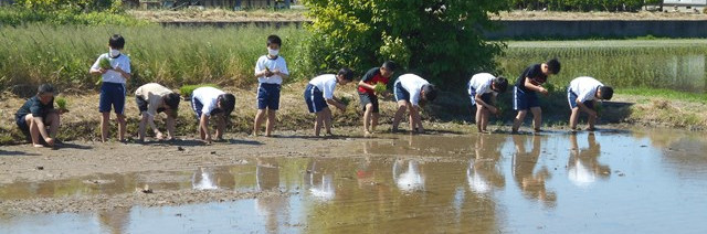 氷見市立比美乃江小学校