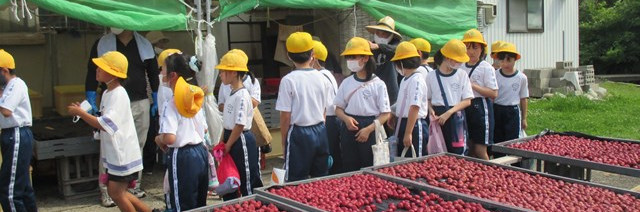 氷見市立比美乃江小学校