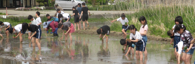 氷見市立比美乃江小学校