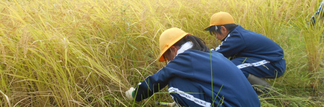 氷見市立比美乃江小学校