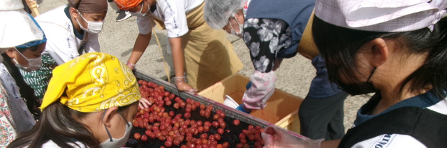 氷見市立比美乃江小学校