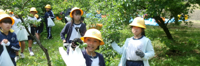 氷見市立比美乃江小学校