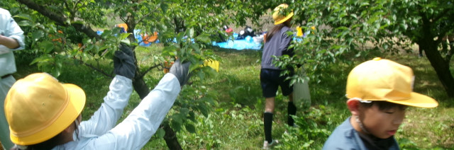 氷見市立比美乃江小学校