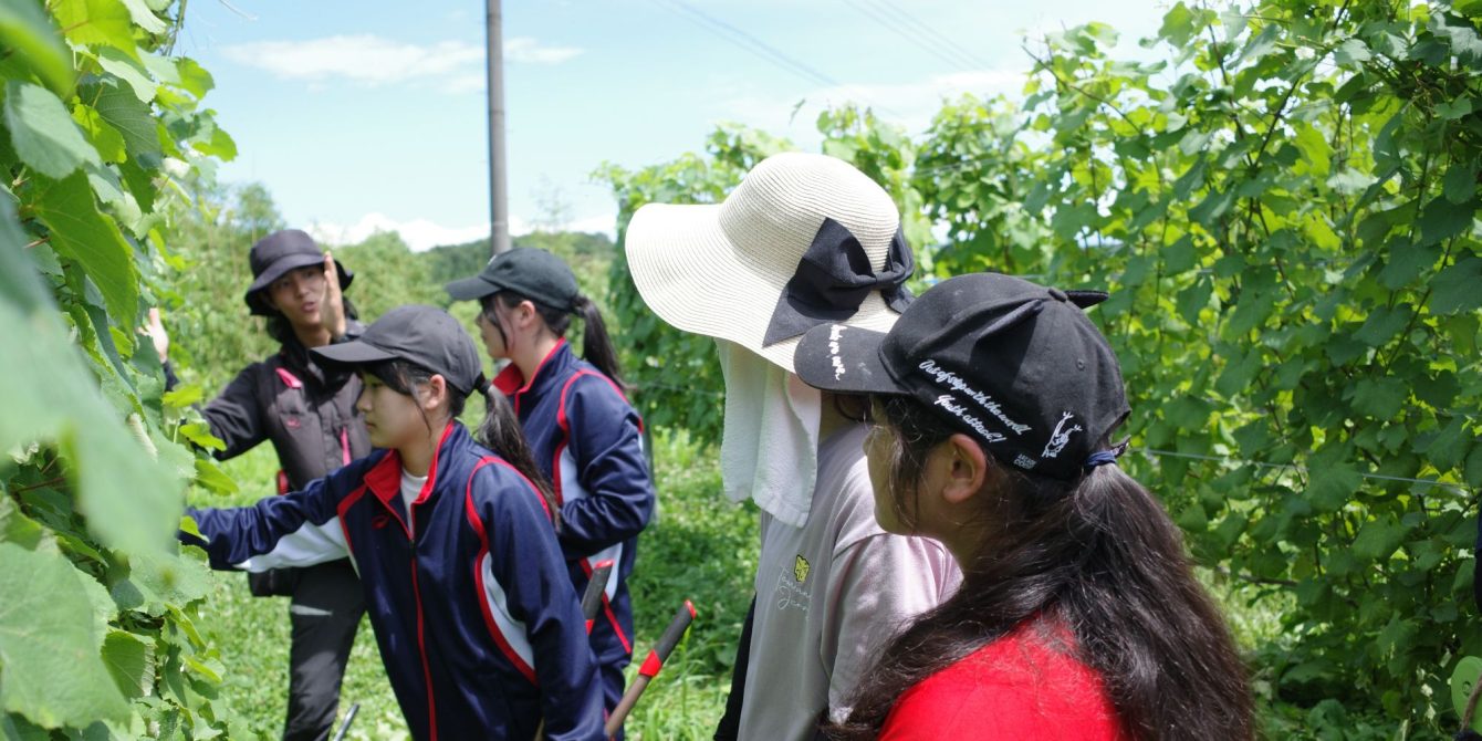 氷見市立北部中学校