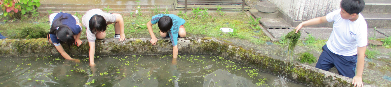 氷見市立十二町小学校