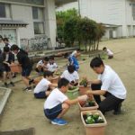 プランターへの花苗の植え付け　５・６年生