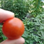 にっこり笑顔のスタート　２年生・３年生