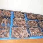 全校へおすそわけ