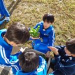 パンジー花苗植え　２年生