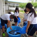 飼育の準備～イタセンパラ教室～　５年生