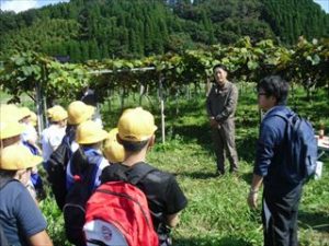 9月25日　山ぶどう収穫ジュース作り