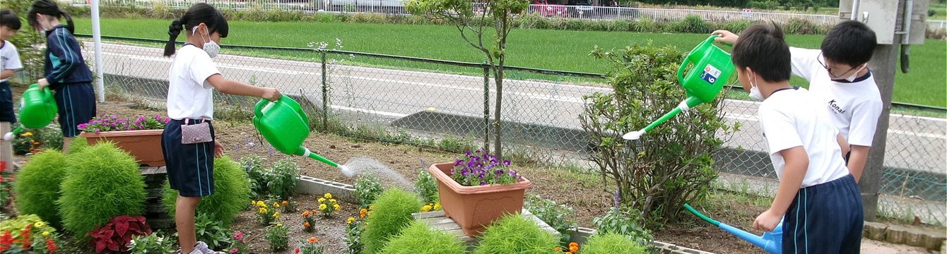 氷見市立湖南小学校