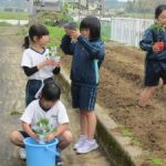 【２年生】野菜の苗植え　★　５月１２日