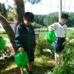 花壇・ゴーヤの水やり　★　６月１７日