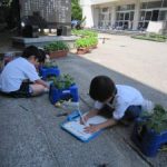 生活科の学習（１年生）★　６月１８日