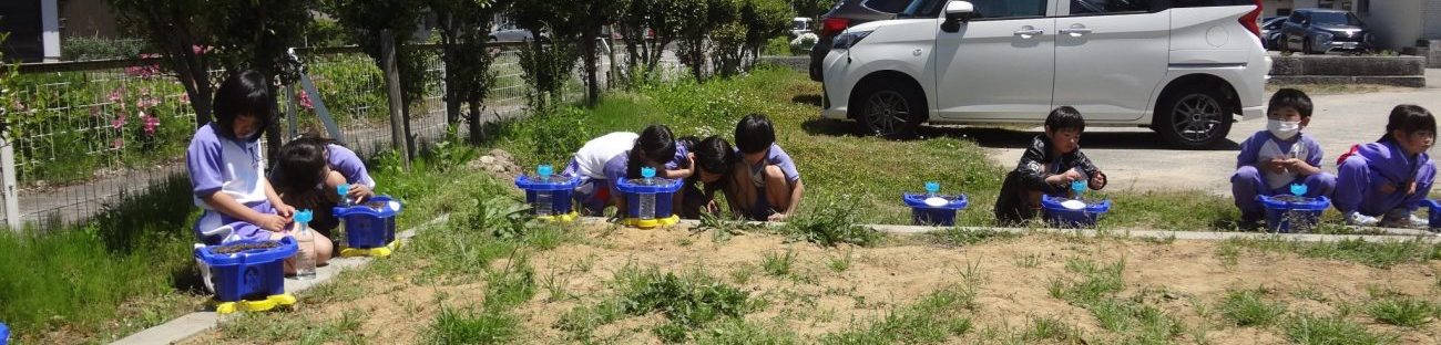 氷見市立窪小学校