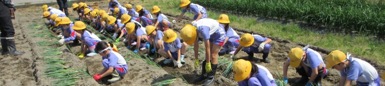 氷見市立窪小学校