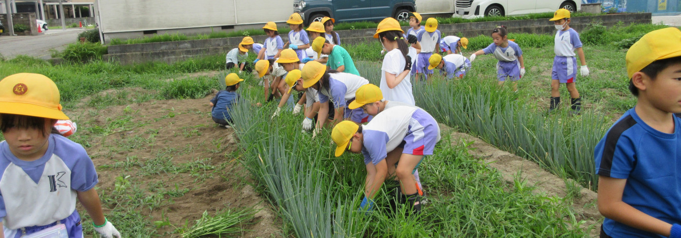 氷見市立窪小学校