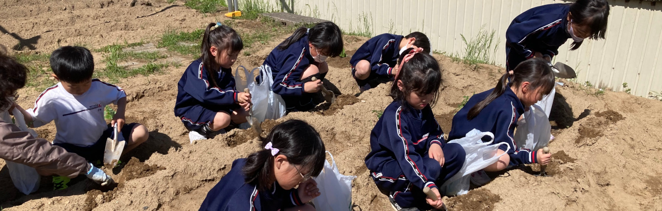 氷見市立宮田小学校