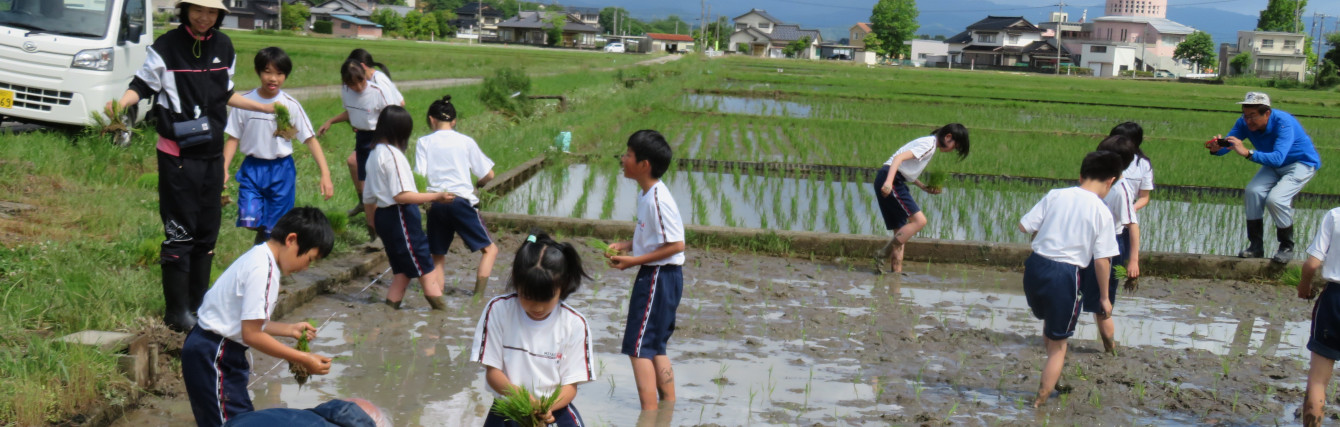 氷見市立宮田小学校