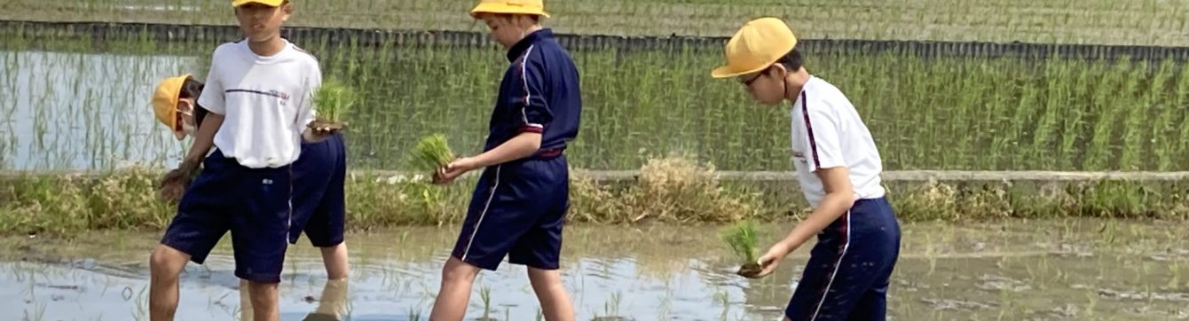 氷見市立宮田小学校