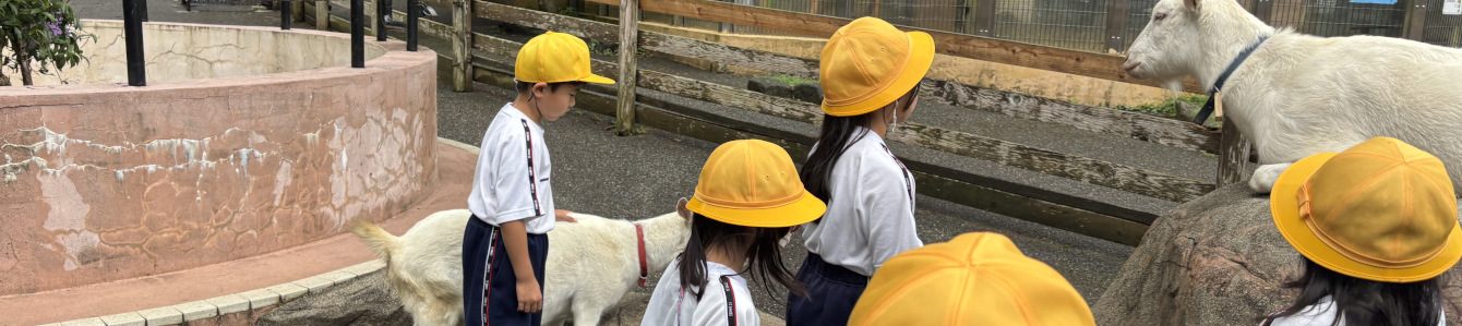 氷見市立宮田小学校