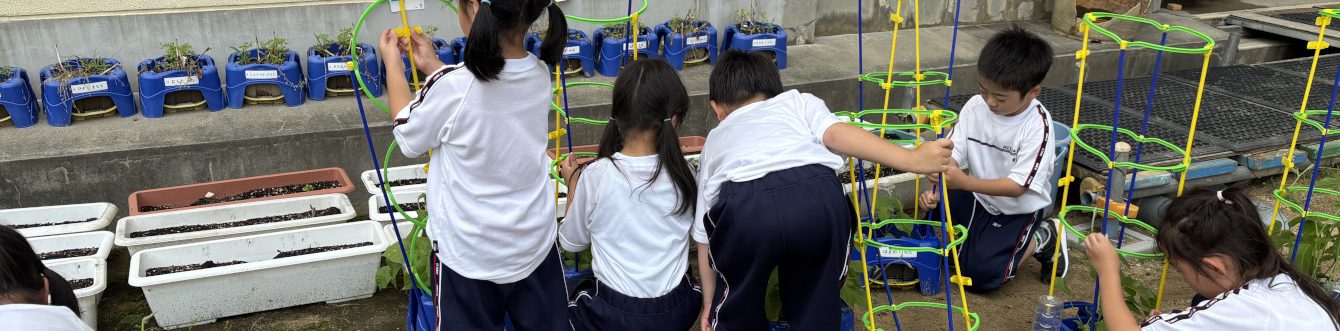 氷見市立宮田小学校