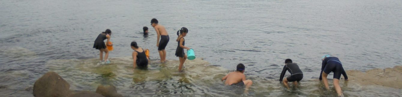 氷見市立灘浦小学校