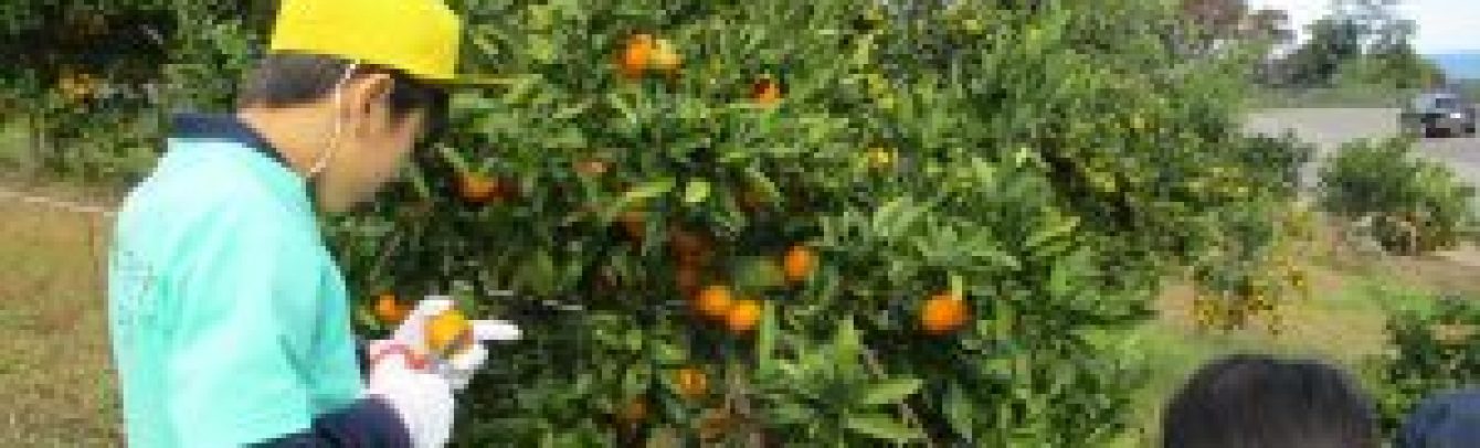 氷見市立灘浦小学校