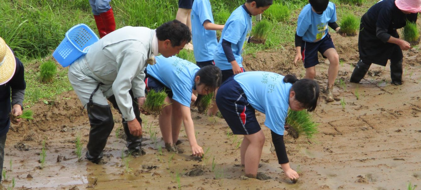 氷見市立灘浦小学校