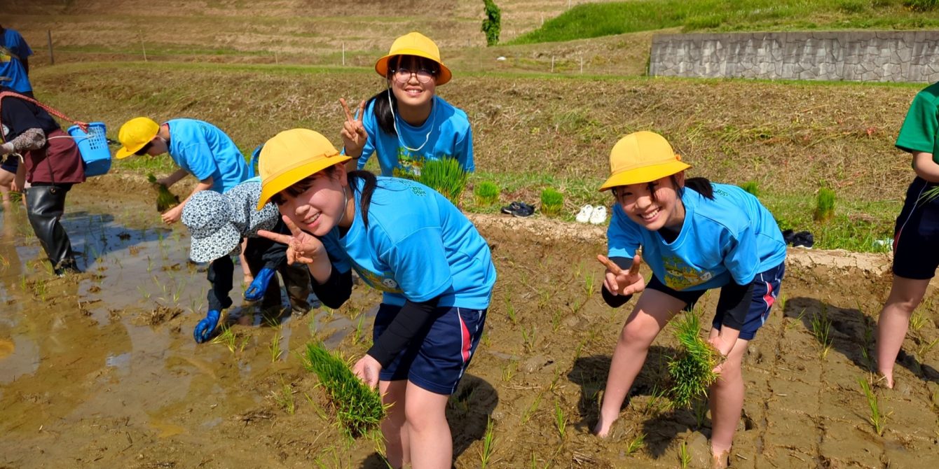 氷見市立灘浦小学校