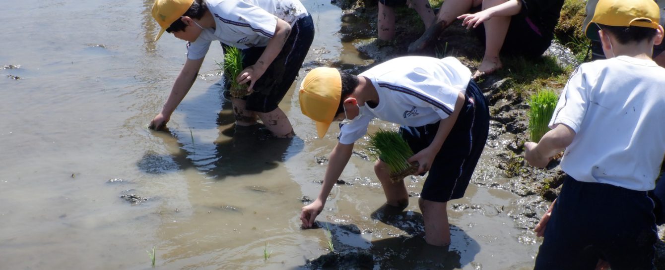 氷見市立西の杜学園