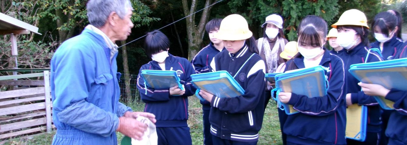 氷見市立西の杜学園