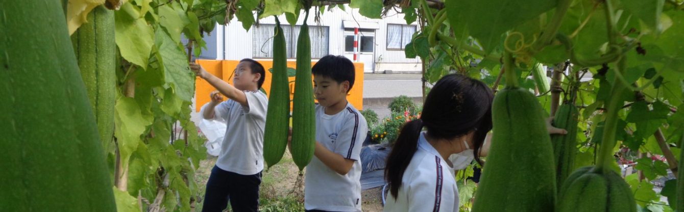 氷見市立西の杜学園