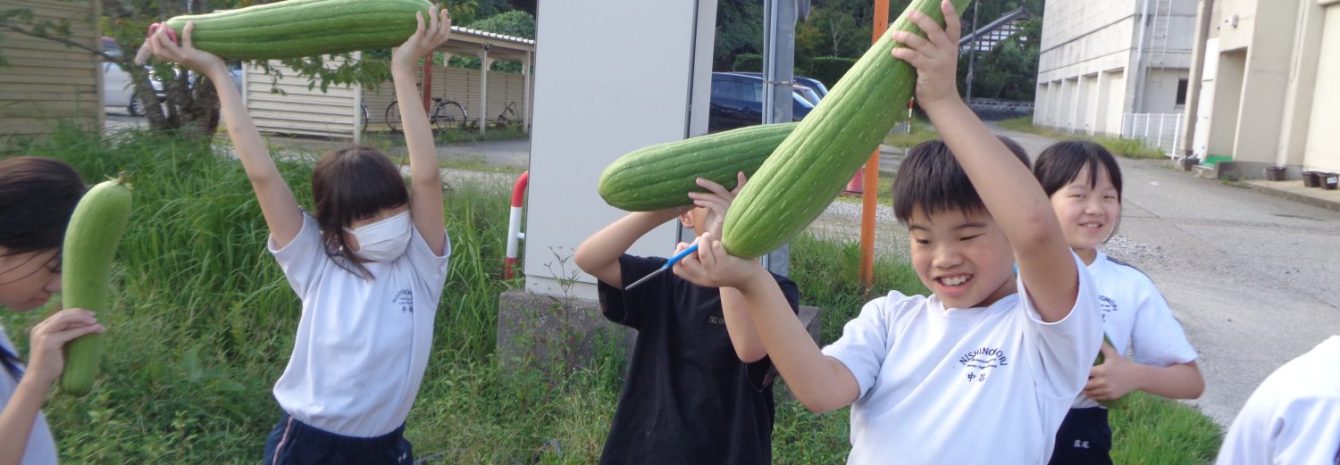 氷見市立西の杜学園