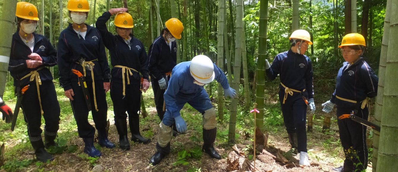 氷見市立西の杜学園