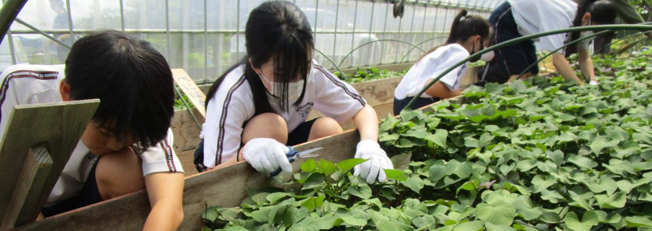 氷見市立西の杜学園