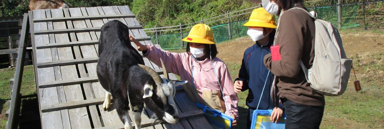 氷見市立西の杜学園