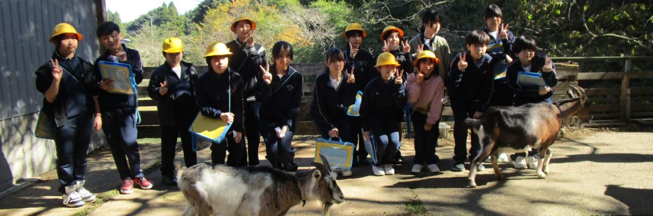 氷見市立西の杜学園