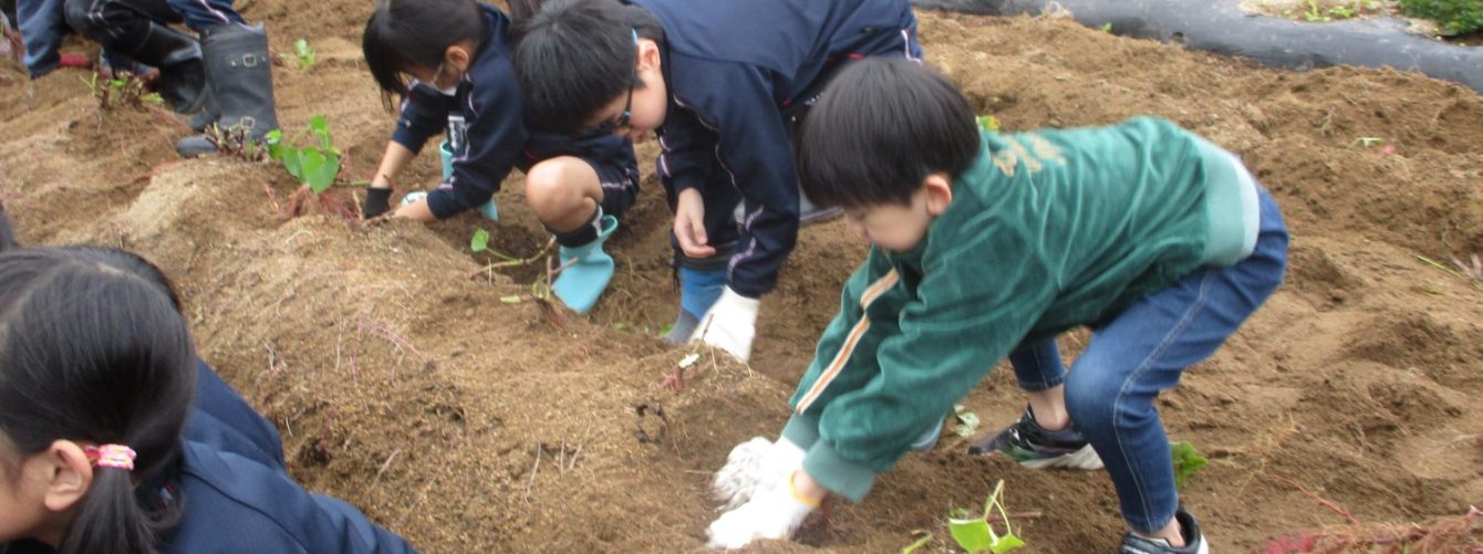 氷見市立西の杜学園