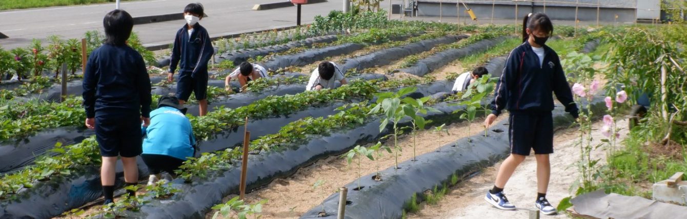 氷見市立西の杜学園