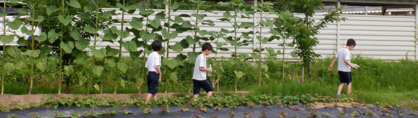 氷見市立西の杜学園