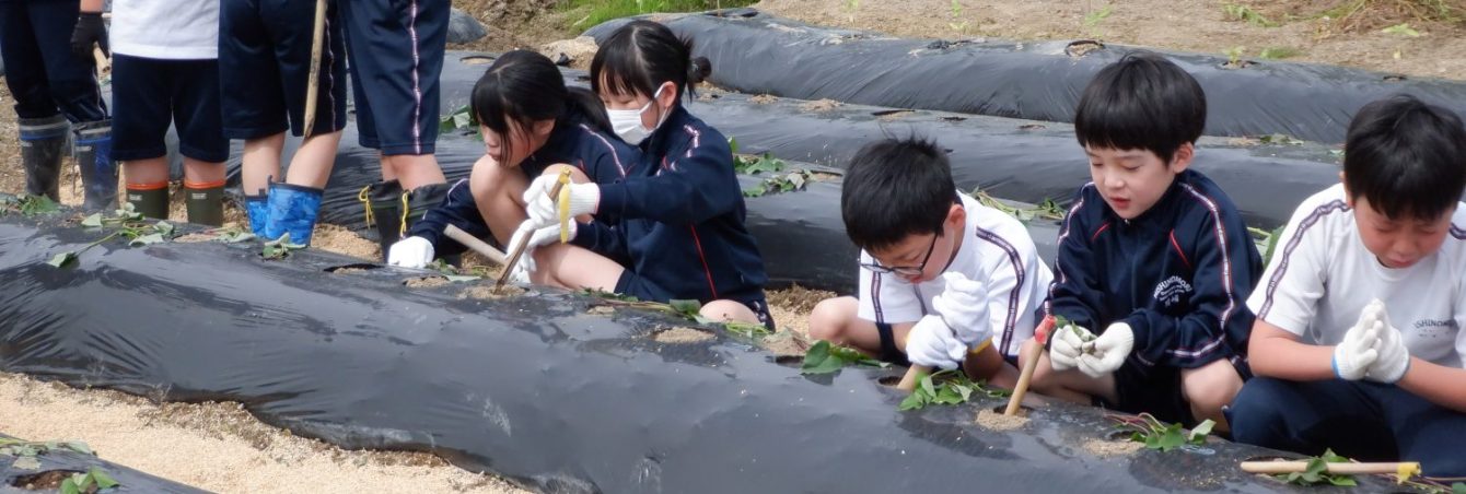 氷見市立西の杜学園