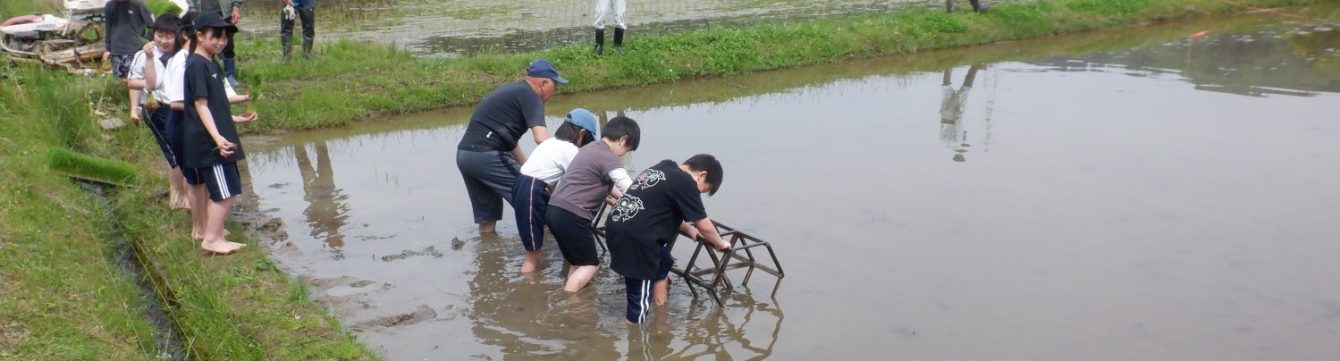 氷見市立西の杜学園