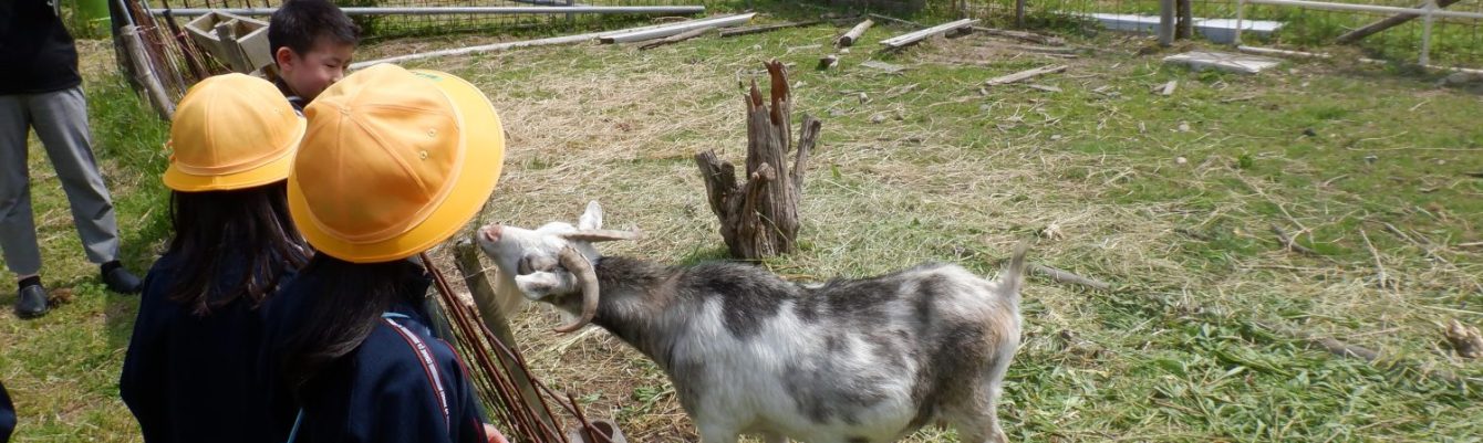 氷見市立西の杜学園